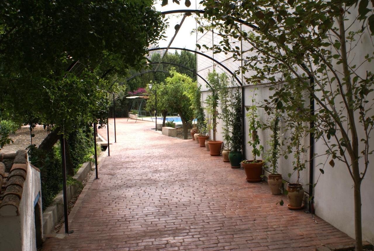 Talara La Canota King Rooms Adults Only מראה חיצוני תמונה
