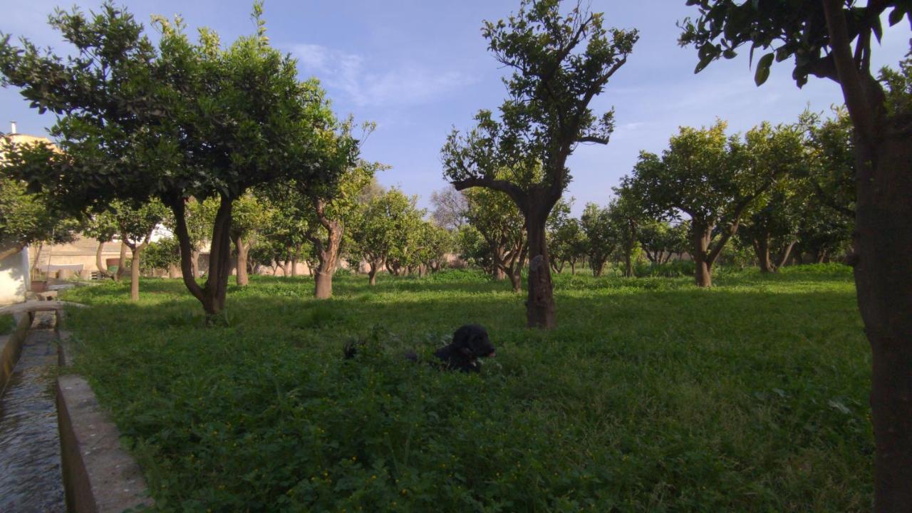 Talara La Canota King Rooms Adults Only מראה חיצוני תמונה