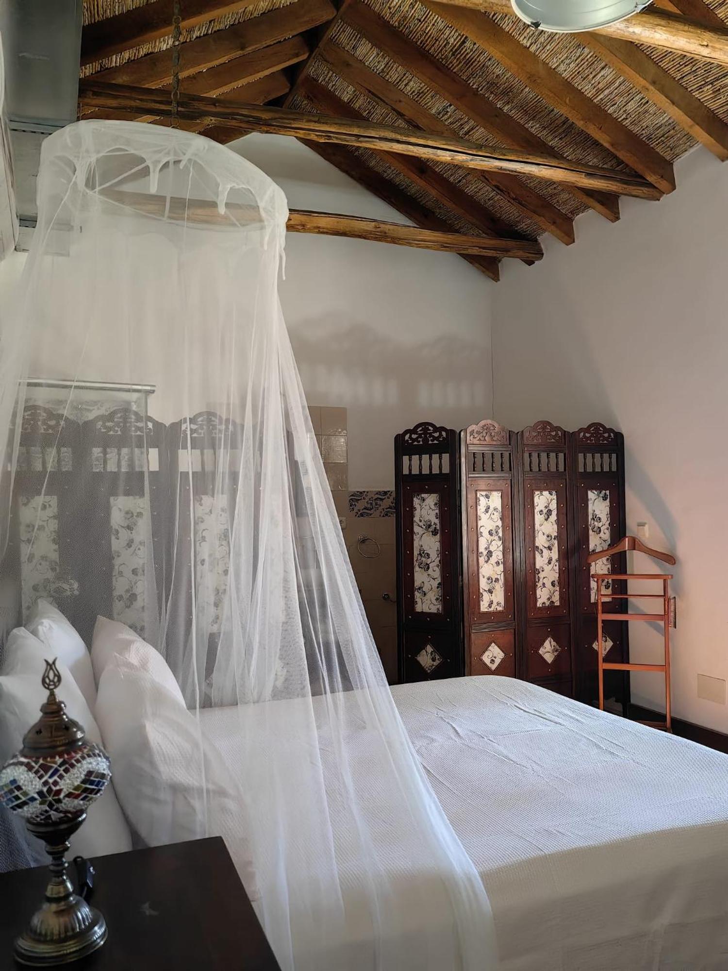 Talara La Canota King Rooms Adults Only מראה חיצוני תמונה